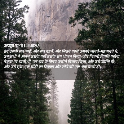 Picture 02 - अय्यूब 42:11 HINIRV - तब उसके सब भाई, और - Bible Verse Picture