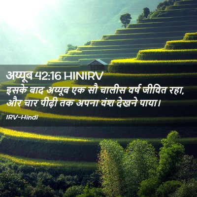 Picture 02 - अय्यूब 42:16 HINIRV - इसके बाद अय्यूब एक - Bible Verse Picture