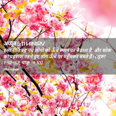 Picture 02 - अय्यूब 5:11 HINIRV - इसी रीति वह नम्र - Bible Verse Picture