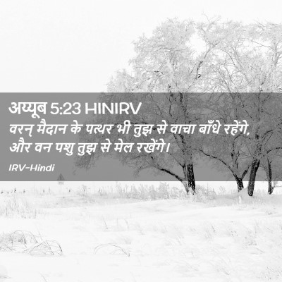Picture 02 - अय्यूब 5:23 HINIRV - वरन् मैदान के - Bible Verse Picture