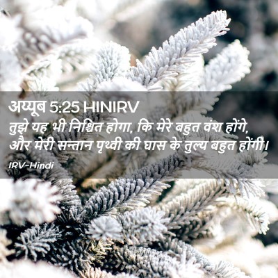 Picture 02 - अय्यूब 5:25 HINIRV - तुझे यह भी निश्चित - Bible Verse Picture
