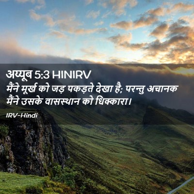 Picture 02 - अय्यूब 5:3 HINIRV - मैंने मूर्ख को जड़ - Bible Verse Picture