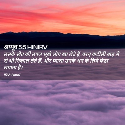 Picture 02 - अय्यूब 5:5 HINIRV - उसके खेत की उपज - Bible Verse Picture