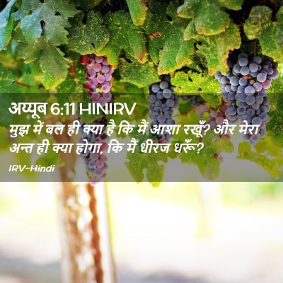 Picture 02 - अय्यूब 6:11 HINIRV - मुझ में बल ही क्या - Bible Verse Picture