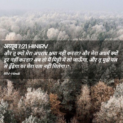 Picture 02 - अय्यूब 7:21 HINIRV - और तू क्यों मेरा - Bible Verse Picture