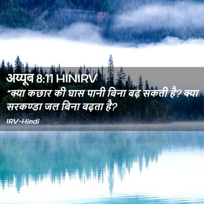 Picture 02 - अय्यूब 8:11 HINIRV - “क्या कछार की घास - Bible Verse Picture