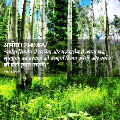 Picture 02 - आमोस 1:2 HINIRV - “यहोवा सिय्योन से - Bible Verse Picture