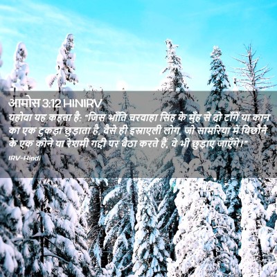 Picture 02 - आमोस 3:12 HINIRV - यहोवा यह कहता है: - Bible Verse Picture