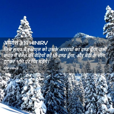 Picture 02 - आमोस 3:14 HINIRV - जिस समय मैं - Bible Verse Picture