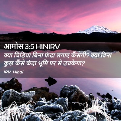 Picture 02 - आमोस 3:5 HINIRV - क्या चिड़िया बिना - Bible Verse Picture