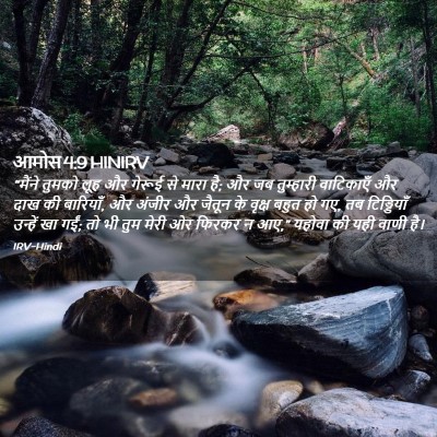 Picture 02 - आमोस 4:9 HINIRV - “मैंने तुमको लूह - Bible Verse Picture