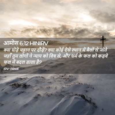 Picture 02 - आमोस 6:12 HINIRV - क्या घोड़े चट्टान - Bible Verse Picture