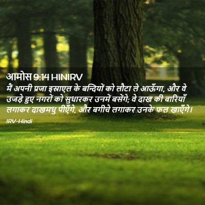 Picture 02 - आमोस 9:14 HINIRV - मैं अपनी प्रजा - Bible Verse Picture