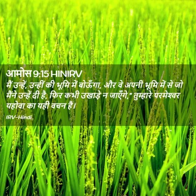Picture 02 - आमोस 9:15 HINIRV - मैं उन्हें, उन्हीं - Bible Verse Picture
