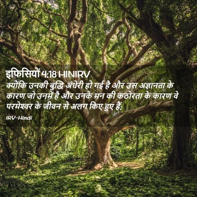 Picture 02 - इफिसियों 4:18 HINIRV - क्योंकि उनकी - Bible Verse Picture