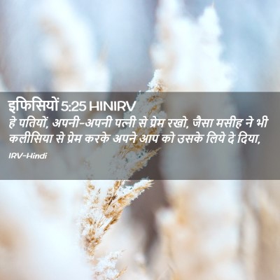 Picture 02 - इफिसियों 5:25 HINIRV - हे पतियों, - Bible Verse Picture