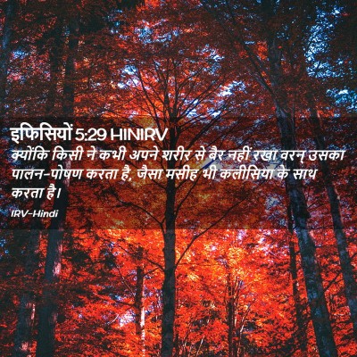 Picture 02 - इफिसियों 5:29 HINIRV - क्योंकि किसी ने - Bible Verse Picture
