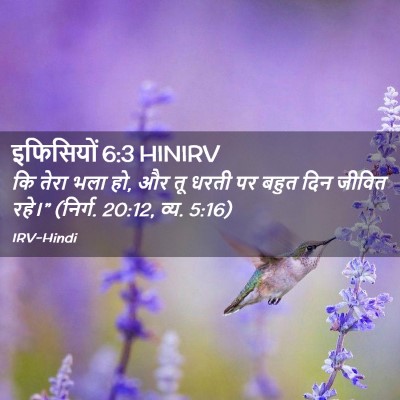 Picture 02 - इफिसियों 6:3 HINIRV - कि तेरा भला हो, और - Bible Verse Picture