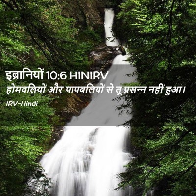 Picture 02 - इब्रानियों 10:6 HINIRV - होमबलियों और - Bible Verse Picture