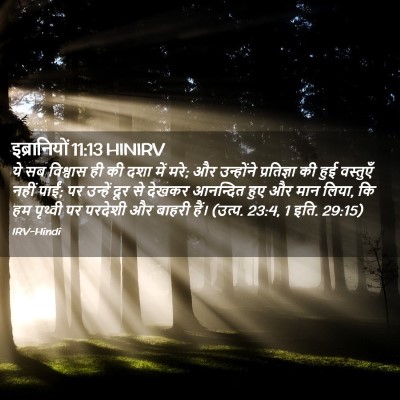 Picture 02 - इब्रानियों 11:13 HINIRV - ये सब विश्वास ही की - Bible Verse Picture