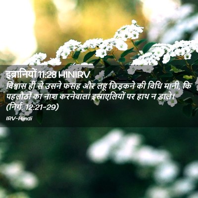 Picture 02 - इब्रानियों 11:28 HINIRV - विश्वास ही से उसने - Bible Verse Picture