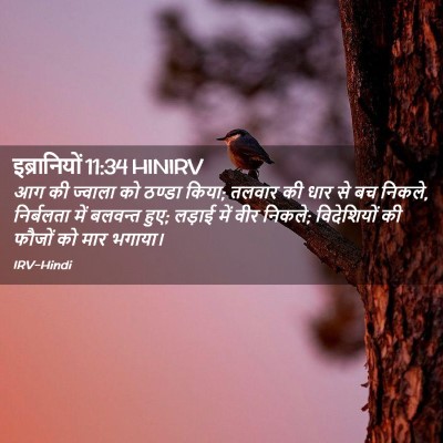 Picture 02 - इब्रानियों 11:34 HINIRV - आग की ज्वाला को - Bible Verse Picture