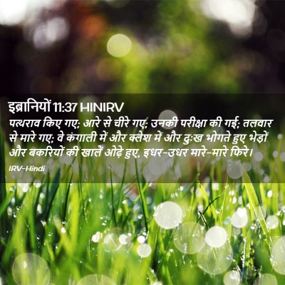 Picture 02 - इब्रानियों 11:37 HINIRV - पत्थराव किए गए; आरे - Bible Verse Picture