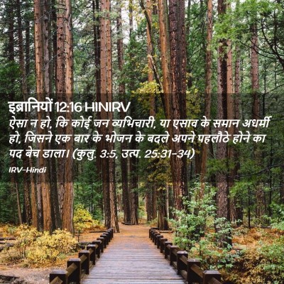 Picture 02 - इब्रानियों 12:16 HINIRV - ऐसा न हो, कि कोई जन - Bible Verse Picture
