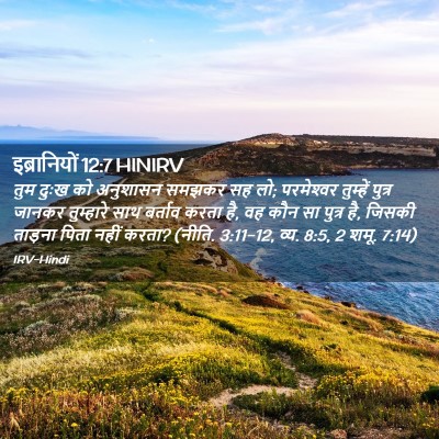 Picture 02 - इब्रानियों 12:7 HINIRV - तुम दुःख को - Bible Verse Picture