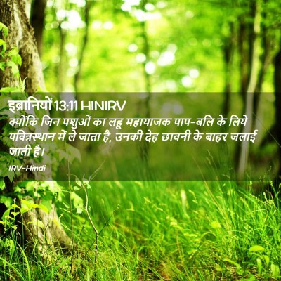Picture 02 - इब्रानियों 13:11 HINIRV - क्योंकि जिन पशुओं - Bible Verse Picture