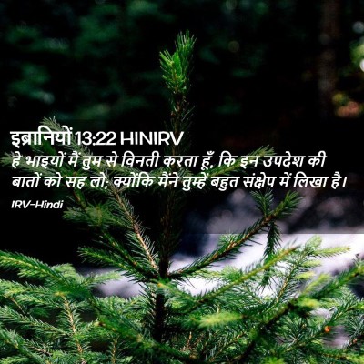 Picture 02 - इब्रानियों 13:22 HINIRV - हे भाइयों मैं तुम - Bible Verse Picture