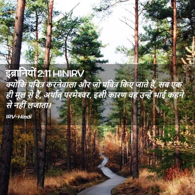 Picture 02 - इब्रानियों 2:11 HINIRV - क्योंकि पवित्र - Bible Verse Picture