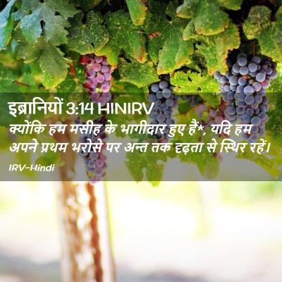 Picture 02 - इब्रानियों 3:14 HINIRV - क्योंकि हम मसीह के - Bible Verse Picture