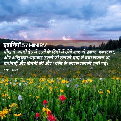 Picture 02 - इब्रानियों 5:7 HINIRV - यीशु ने अपनी देह - Bible Verse Picture