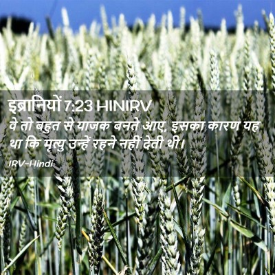 Picture 02 - इब्रानियों 7:23 HINIRV - वे तो बहुत से याजक - Bible Verse Picture