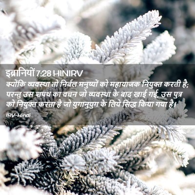Picture 02 - इब्रानियों 7:28 HINIRV - क्योंकि व्यवस्था - Bible Verse Picture