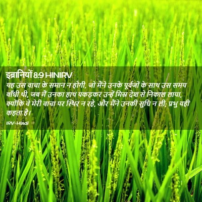 Picture 02 - इब्रानियों 8:9 HINIRV - यह उस वाचा के समान - Bible Verse Picture