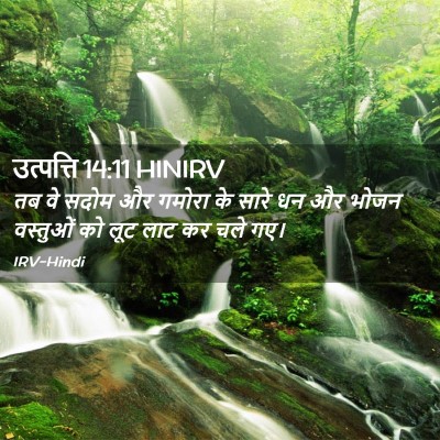 Picture 02 - उत्पत्ति 14:11 HINIRV - तब वे सदोम और गमोरा - Bible Verse Picture