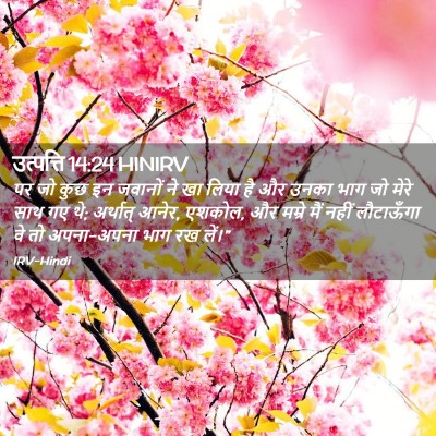 Picture 02 - उत्पत्ति 14:24 HINIRV - पर जो कुछ इन जवानों - Bible Verse Picture