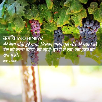 Picture 02 - उत्पत्ति 17:10 HINIRV - मेरे साथ बाँधी हुई - Bible Verse Picture