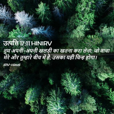 Picture 02 - उत्पत्ति 17:11 HINIRV - तुम अपनी-अपनी - Bible Verse Picture