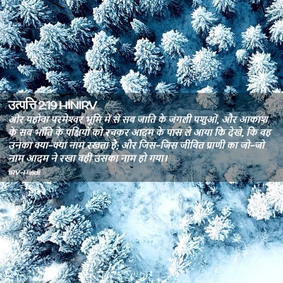 Picture 02 - उत्पत्ति 2:19 HINIRV - और यहोवा - Bible Verse Picture