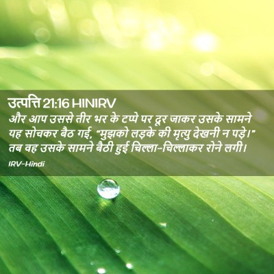 Picture 02 - उत्पत्ति 21:16 HINIRV - और आप उससे तीर भर - Bible Verse Picture