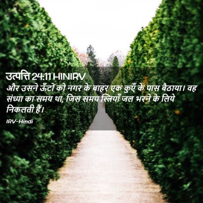 Picture 02 - उत्पत्ति 24:11 HINIRV - और उसने ऊँटों को - Bible Verse Picture