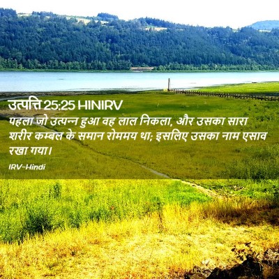 Picture 02 - उत्पत्ति 25:25 HINIRV - पहला जो उत्‍पन्‍न - Bible Verse Picture