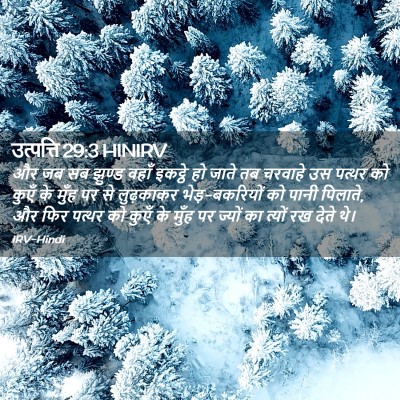 Picture 02 - उत्पत्ति 29:3 HINIRV - और जब सब झुण्ड वहाँ - Bible Verse Picture