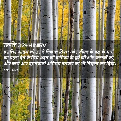 Picture 02 - उत्पत्ति 3:24 HINIRV - इसलिए आदम को उसने - Bible Verse Picture