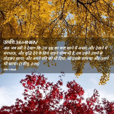 Picture 02 - उत्पत्ति 3:6 HINIRV - अतः जब स्त्री ने - Bible Verse Picture