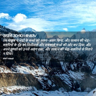 Picture 02 - उत्पत्ति 30:40 HINIRV - तब याकूब ने भेड़ों - Bible Verse Picture