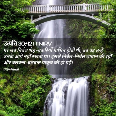 Picture 02 - उत्पत्ति 30:42 HINIRV - पर जब निर्बल - Bible Verse Picture